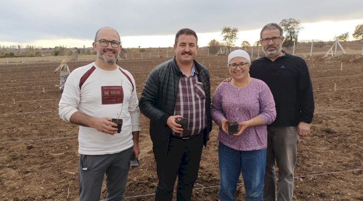 Aronya fideleri toprakla buluştu (23.11.2022)