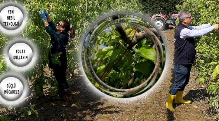 Çanakkale’de Elma Kurduna Karşı Mücadele Sürüyor