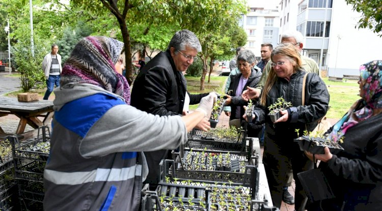 Çanakkale’de Yerel Tohum Fideleri Dağıtıldı
