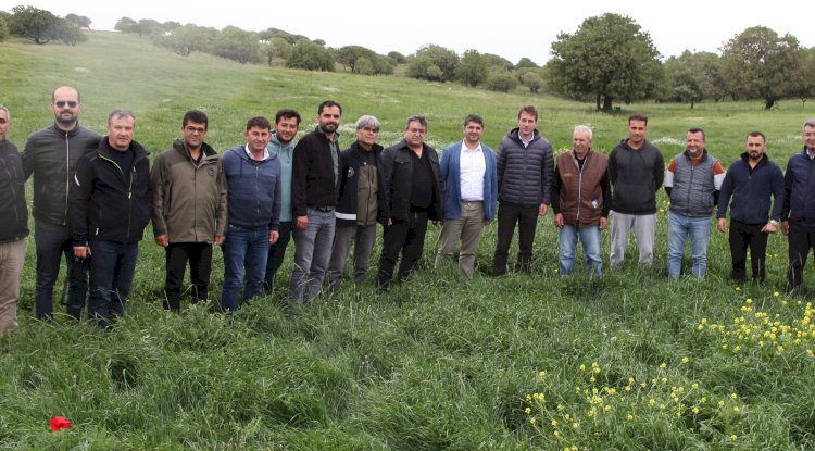 Gökçeada’da Mera Islah Çalışması Tamamlandı