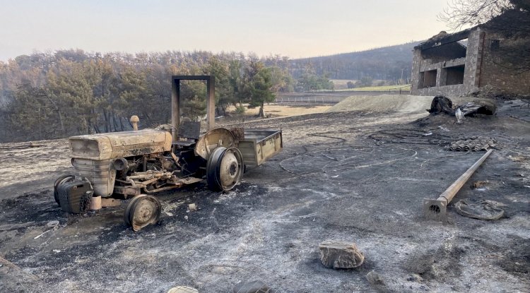 Çanakkale yangınında zarar görenlere destek
