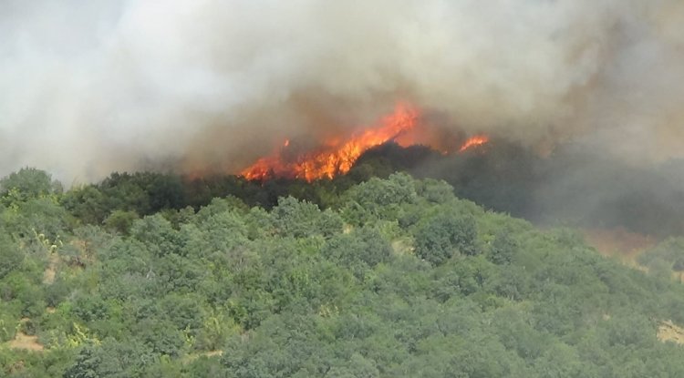 Çanakkale’de yangın uyarısı