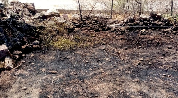 BAHÇEDE ÇIKAN YANGIN KORKUTTU