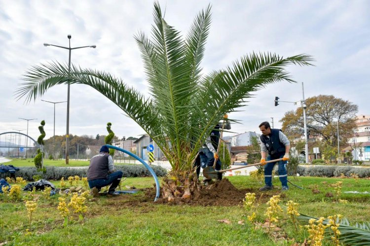 “Her şey Biga için”