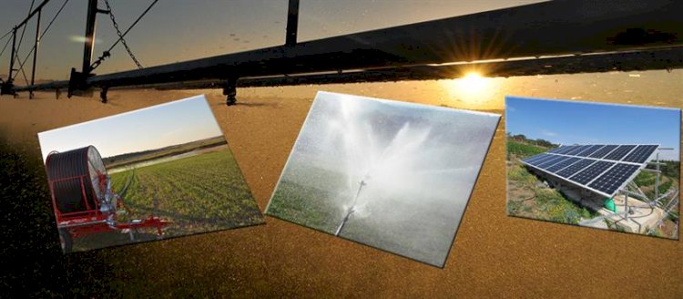 P hibe desteklemeleri başladı