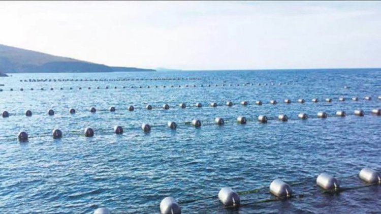 Çanakkale’de Yedinci Midye Üretim Tesisi Faaliyete Geçti