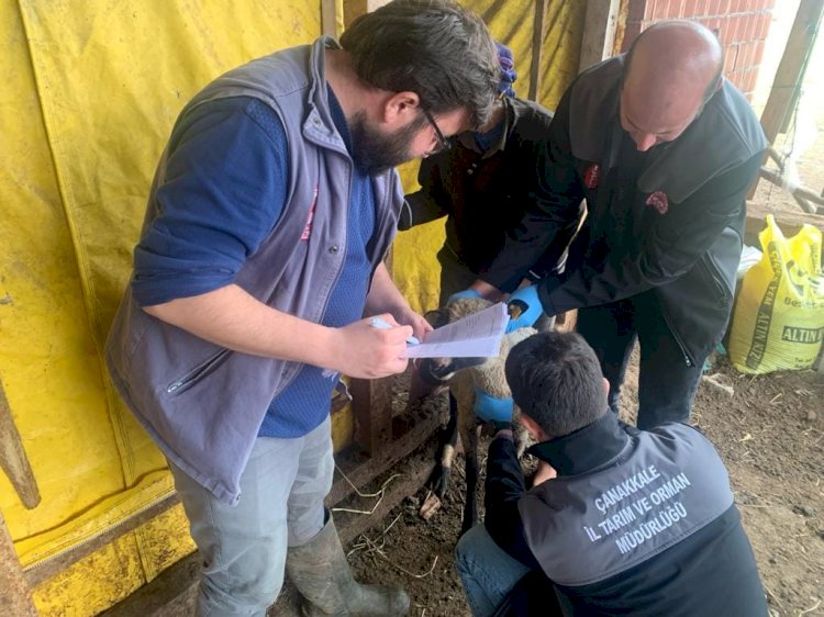 Aşının etkinliği ölçüldü