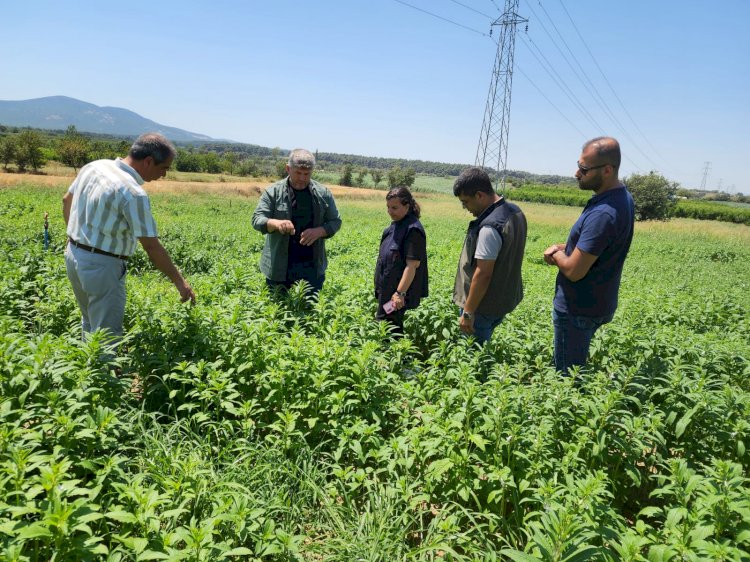 Türkarslan’dan inceleme