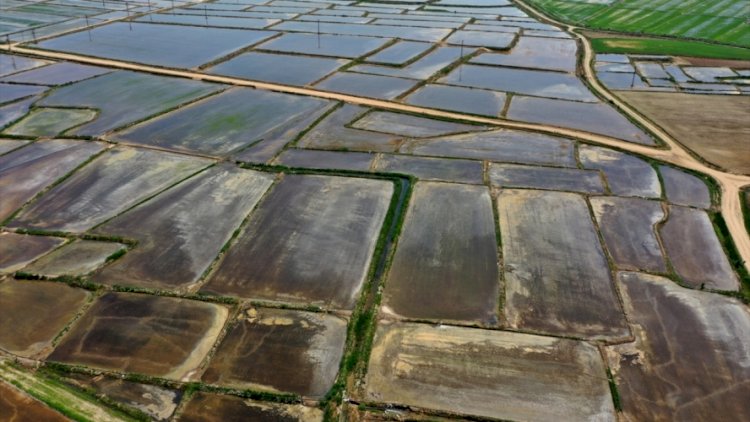 TÜBİTAK’dan akademisyenlerin projesine destek